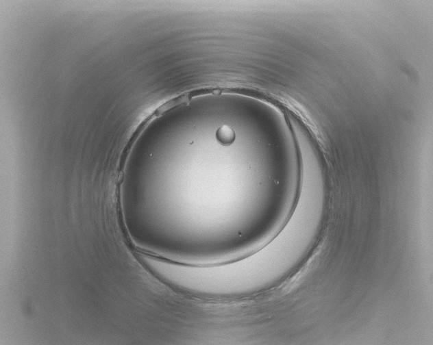 X0000116791081200912241157