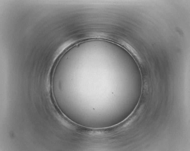 X0000116791082200912241157