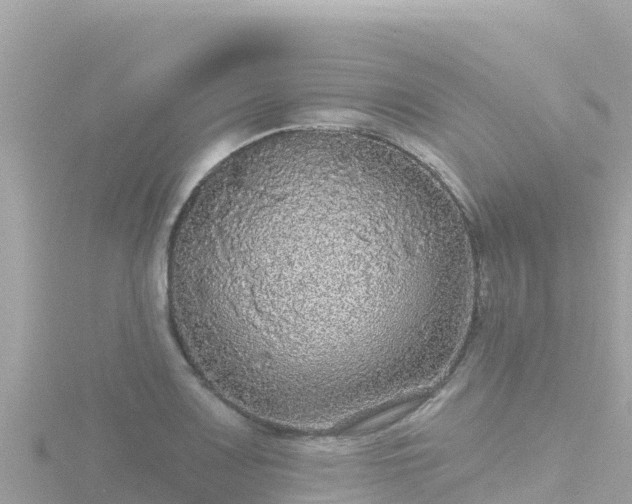 X0000116791083200912241157