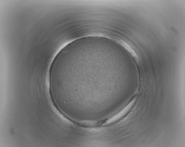 X0000116791084200912241157