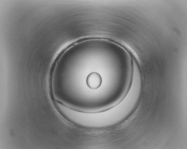 X0000116791085200912241157