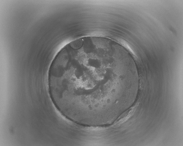 X0000116791087200912241157