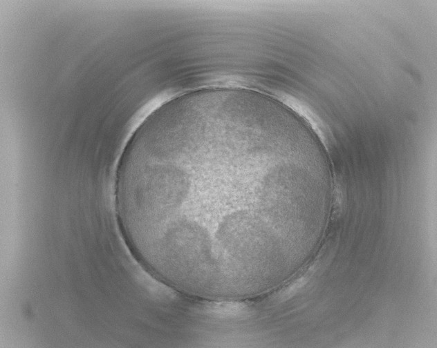 X0000116791090200912241157