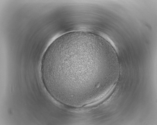 X0000116791091200912241157