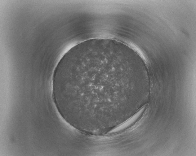 X0000116791095200912241157