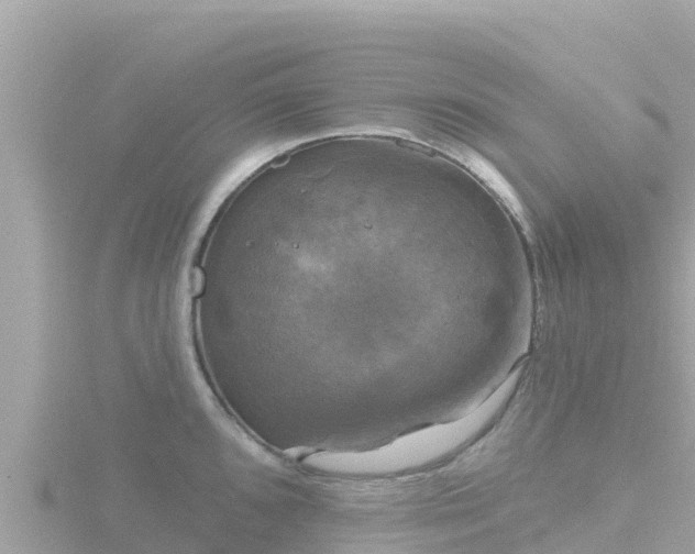 X0000116791096200912241157