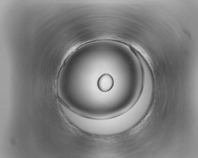 X0000116791097200912241157