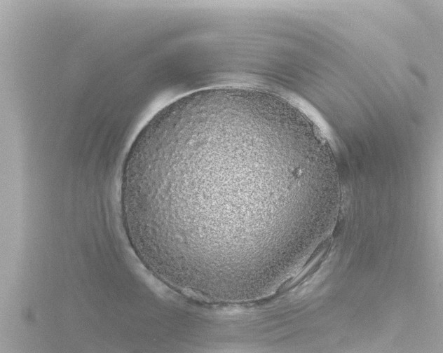 X0000116791099200912241157