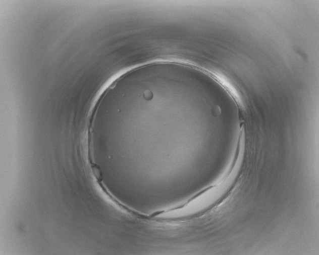 X0000116791100200912241157