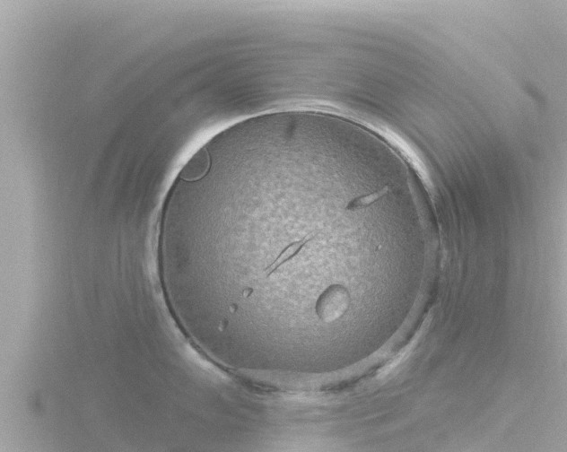 X0000116791102200912241157