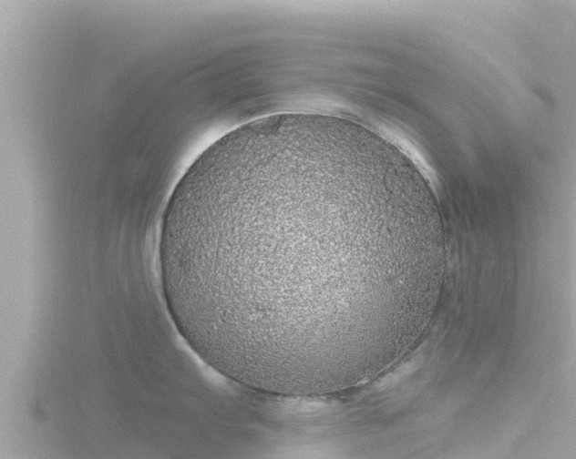 X0000116791103200912241157