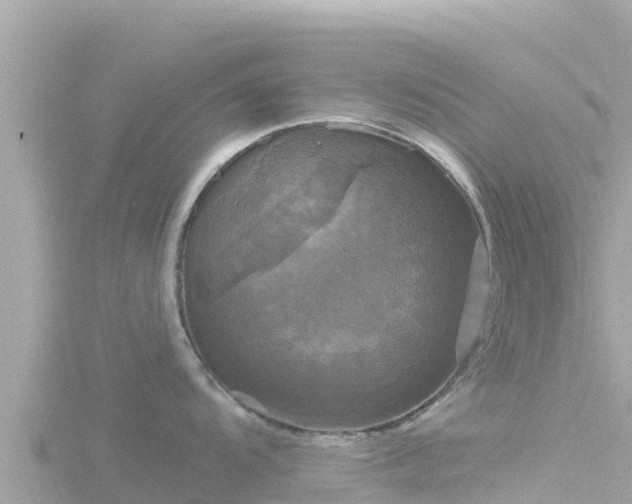 X0000116791104200912241157