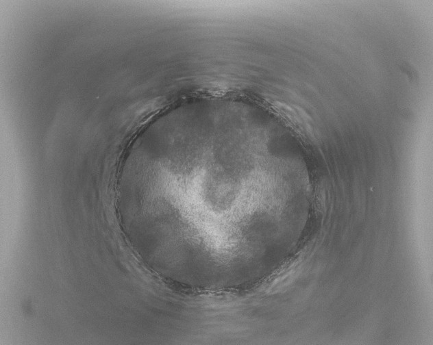 X0000116791105200912241156