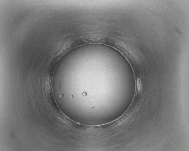 X0000116791107200912241156