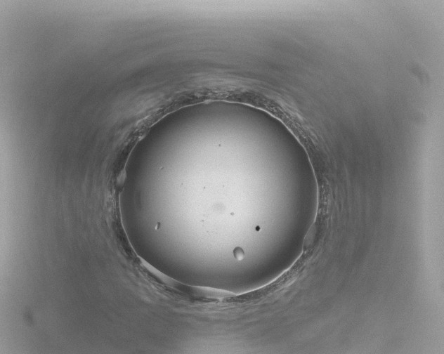 X0000116791109200912241156