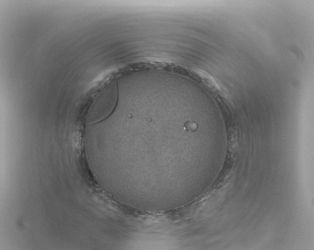 X0000116791110200912241156