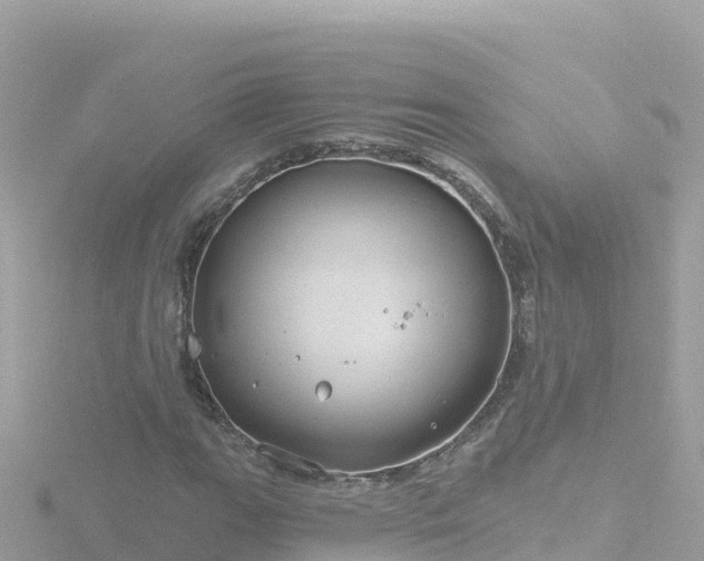 X0000116791111200912241156