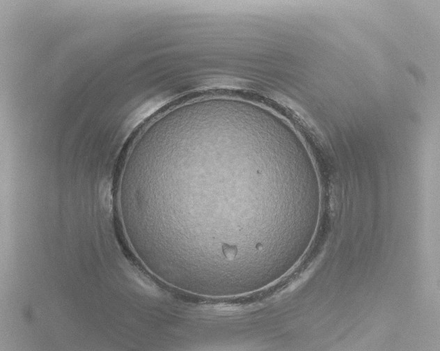 X0000116791113200912241156