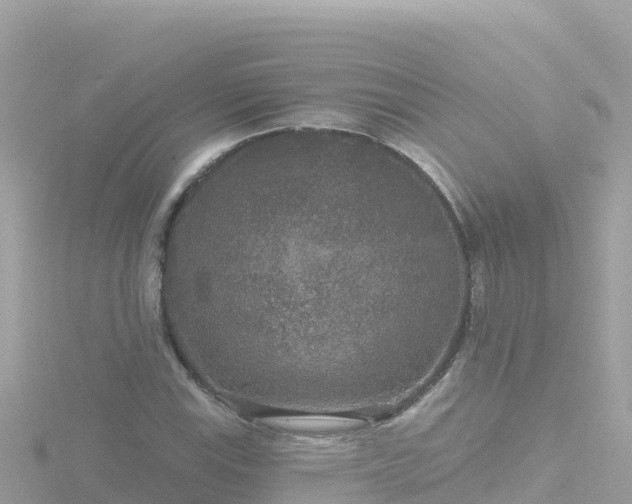 X0000116791115200912241156