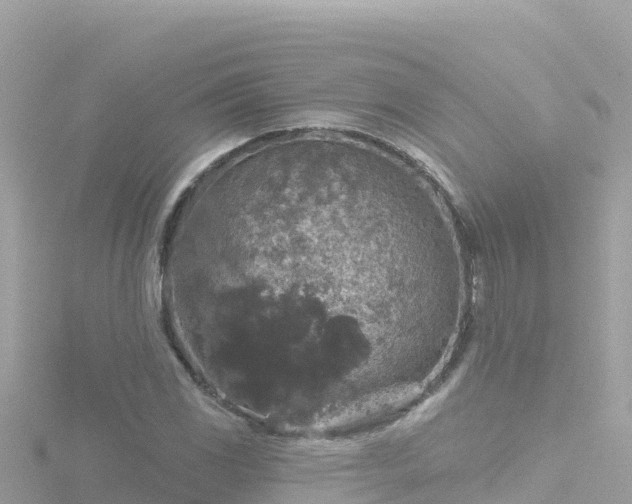 X0000116791117200912241156