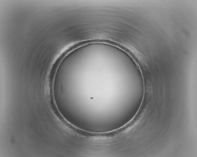 X0000116791118200912241156