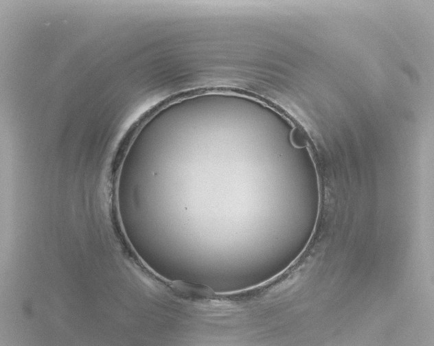 X0000116791119200912241157