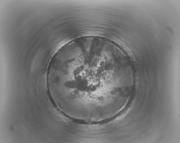 X0000116791121200912241157