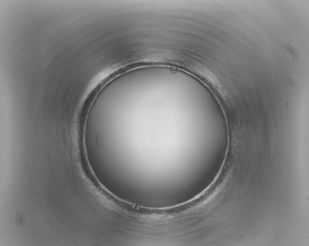 X0000116791122200912241157