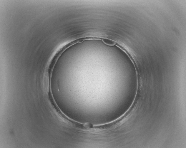 X0000116791123200912241157