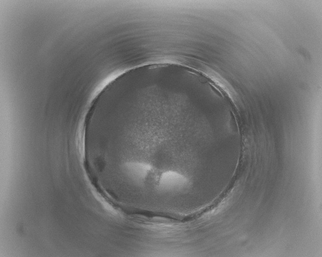 X0000116791127200912241157