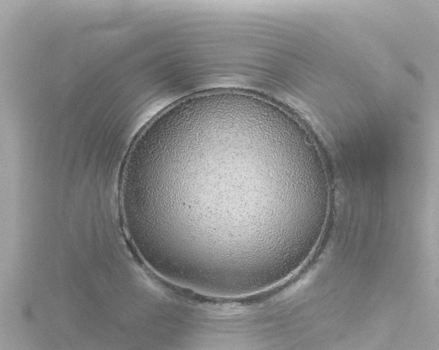 X0000116791129200912241157