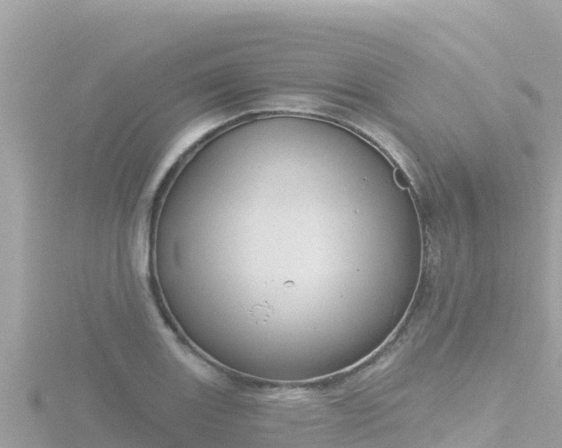 X0000116791131200912241157