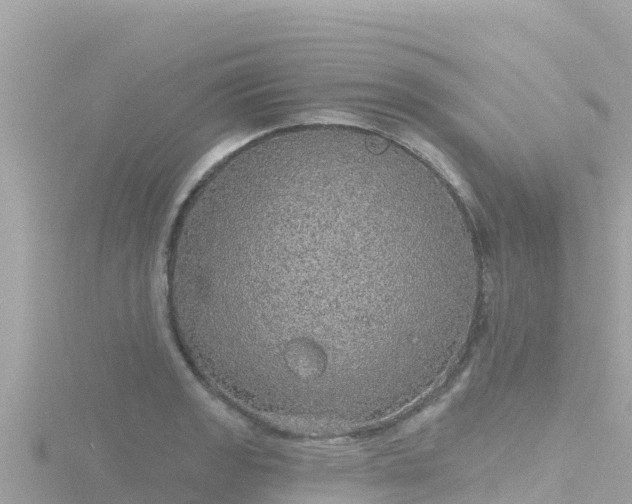 X0000116791133200912241157