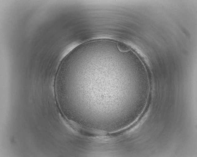 X0000116791137200912241157