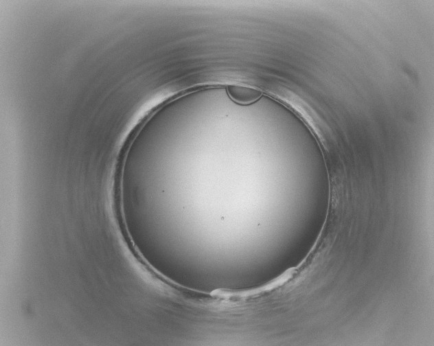 X0000116791139200912241157