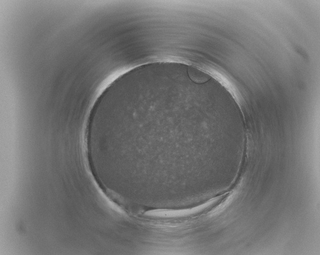 X0000116791141200912241157