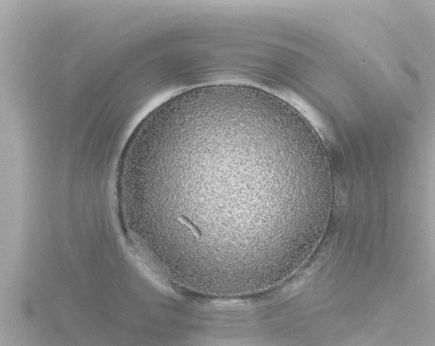 X0000116791142200912241157