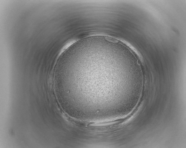 X0000116791145200912241157