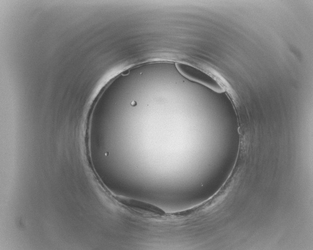 X0000116791146200912241157