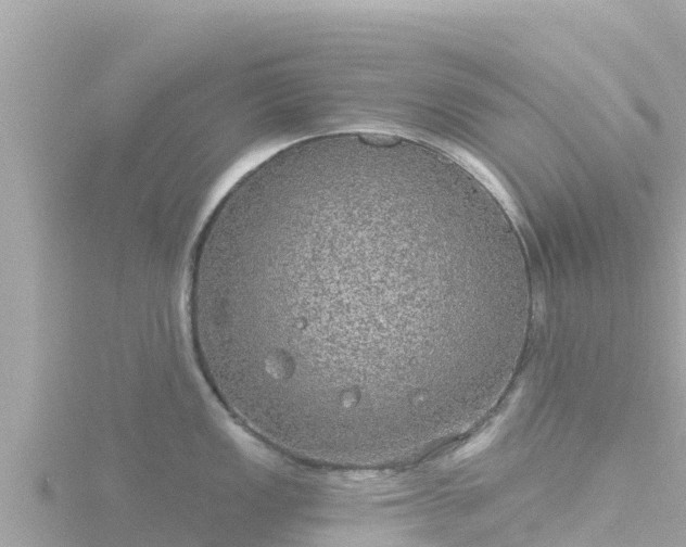 X0000116791149200912241157