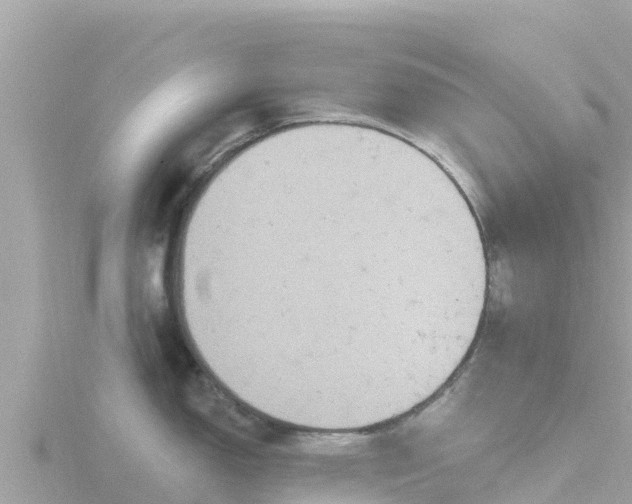 X0000116791150200912241157