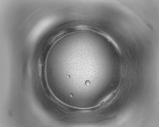 X0000116791151200912241157