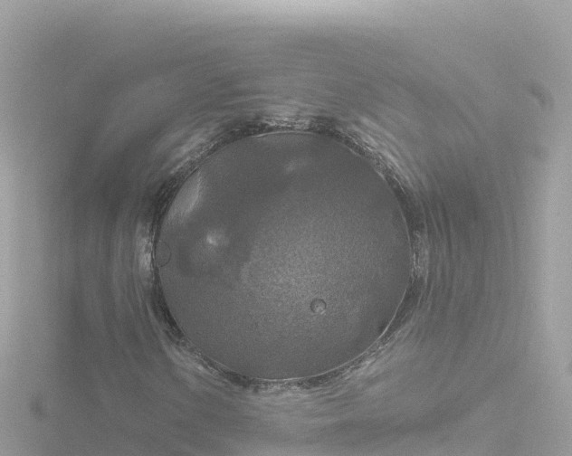 X0000116791154200912241156