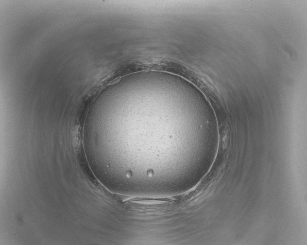 X0000116791156200912241156