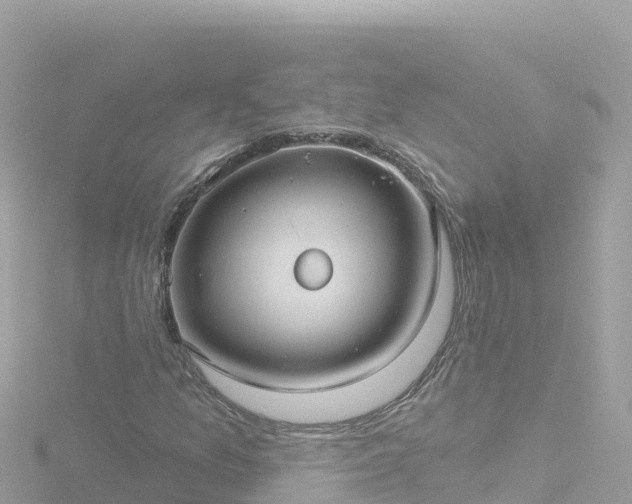 X0000116791157200912241156