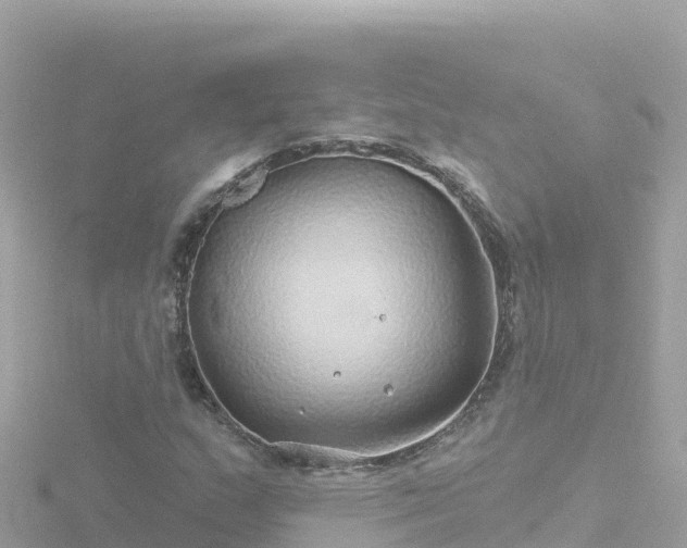 X0000116791159200912241156