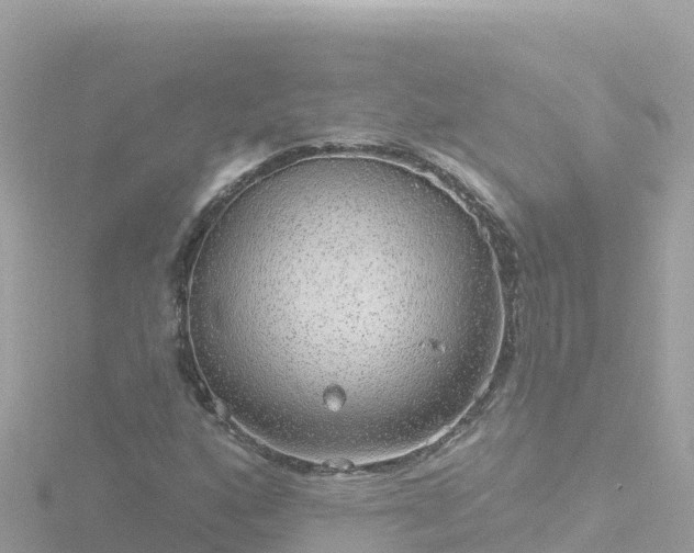 X0000116791160200912241156