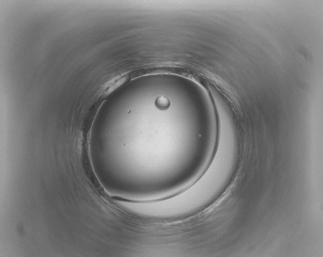 X0000116791161200912241156