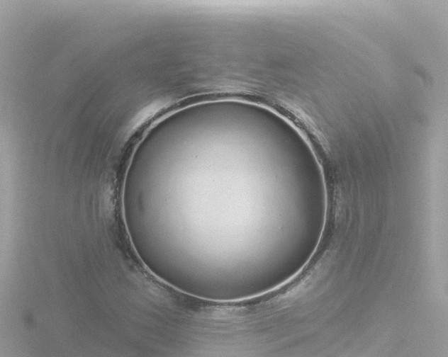 X0000116791163200912241156