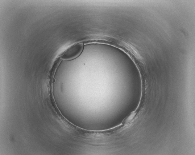 X0000116791164200912241156